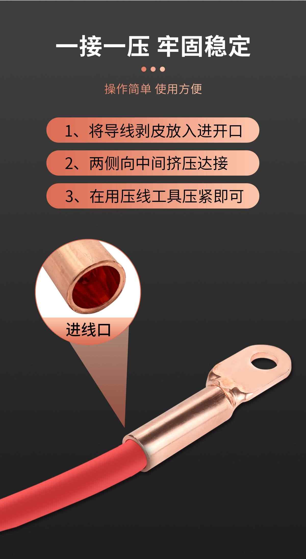 DT铜鼻子-紫铜 6