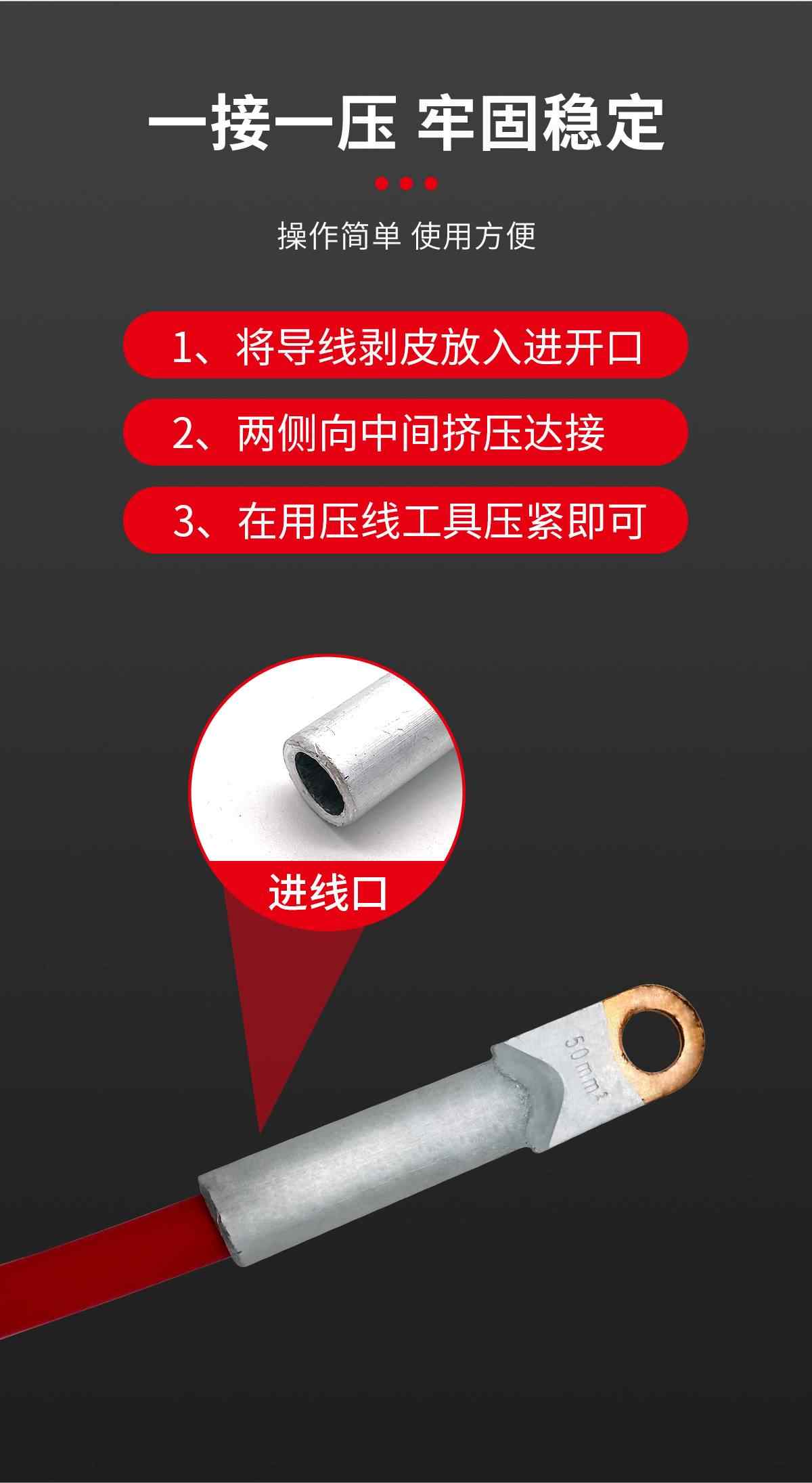 DTL铜铝鼻子 6