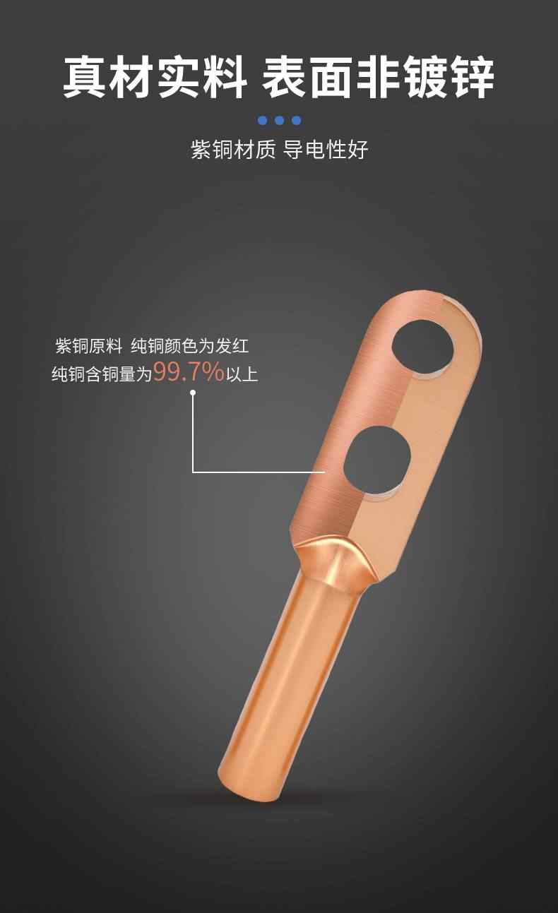 DTS双孔铜鼻子-紫铜 4