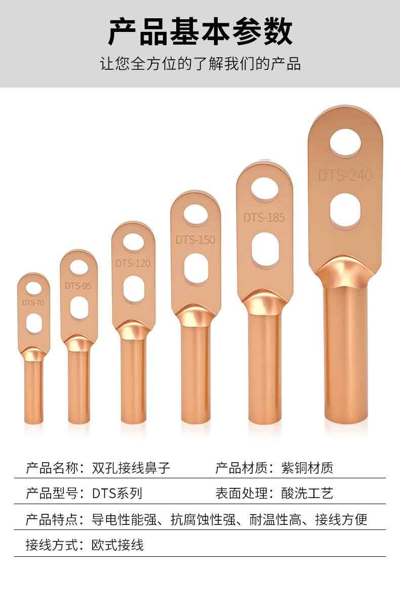 DTS双孔铜鼻子-紫铜 9