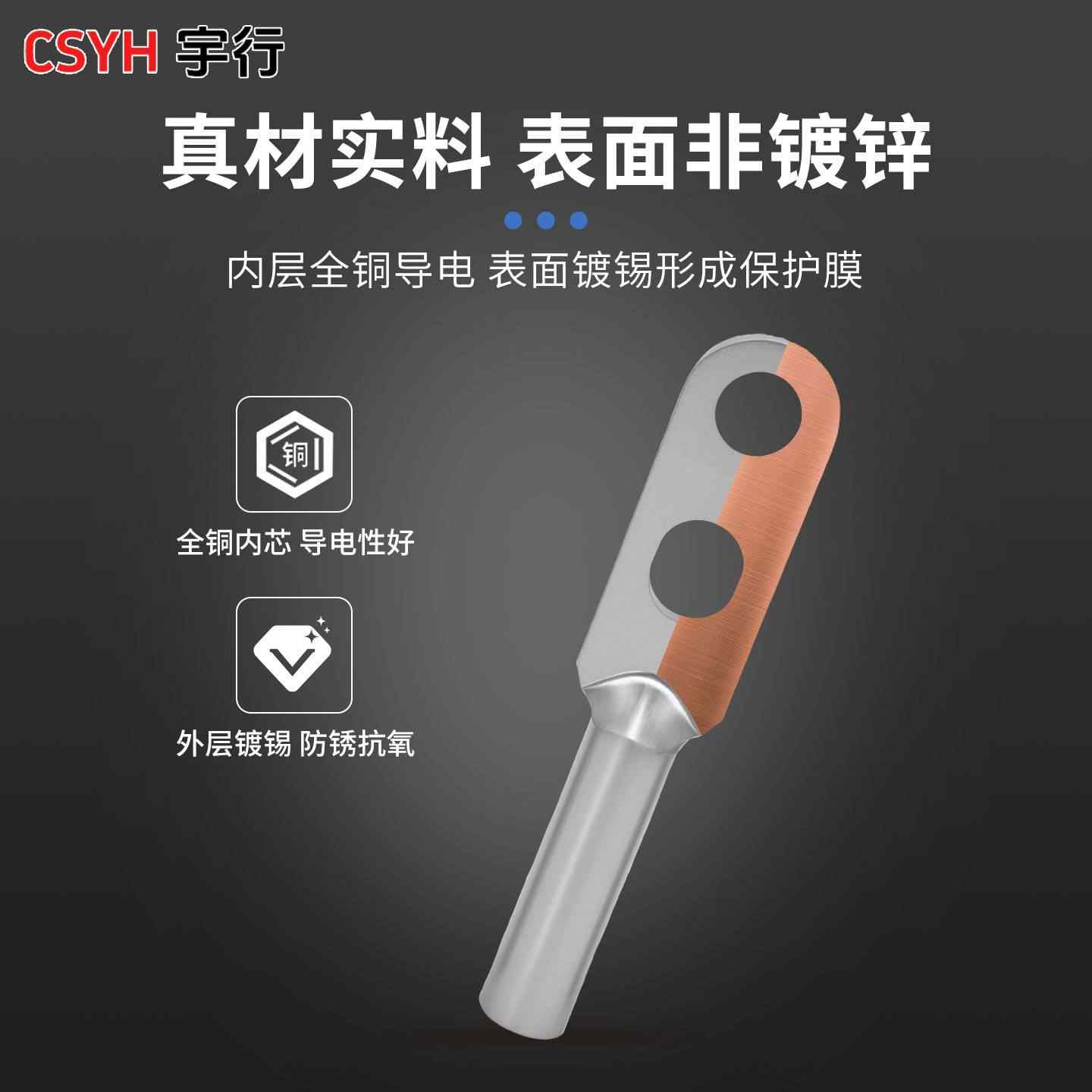 DTS双孔铜鼻子-镀锡