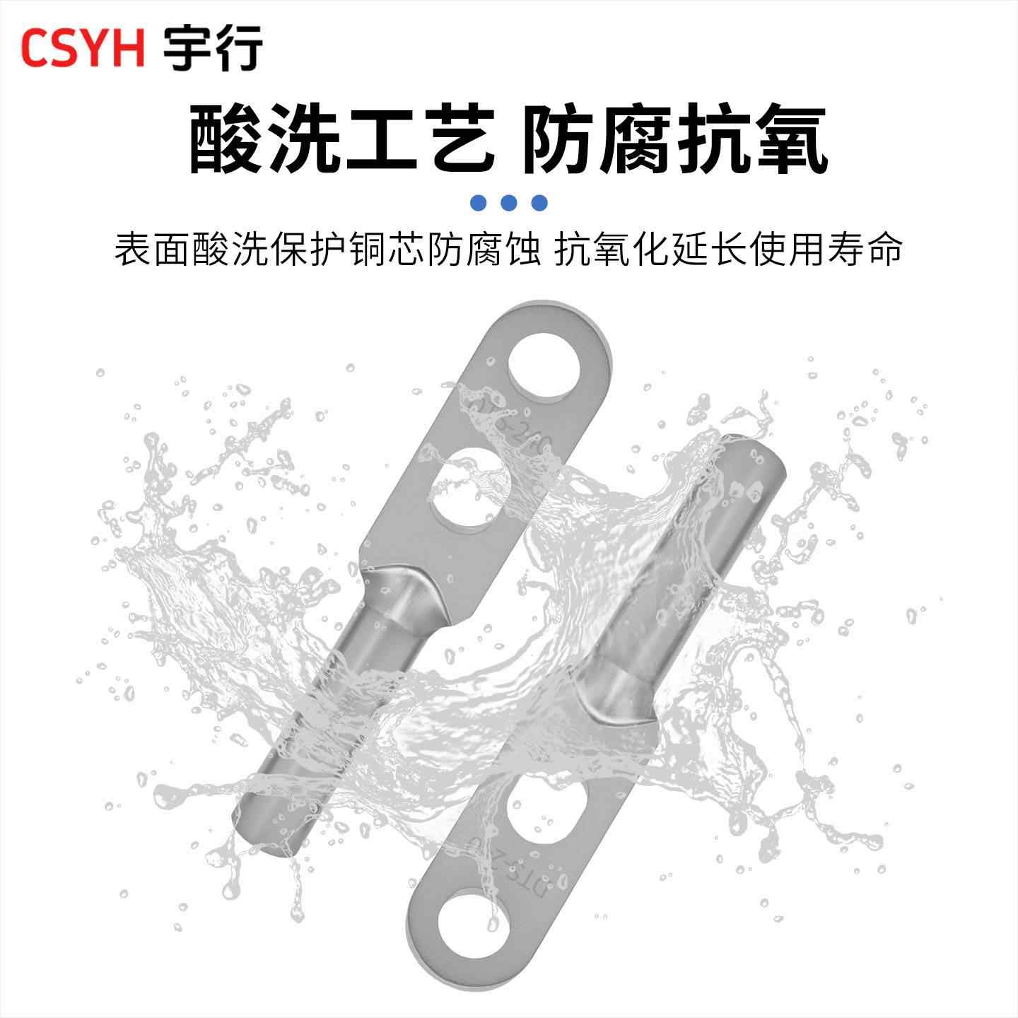 DTS双孔铜鼻子-镀锡