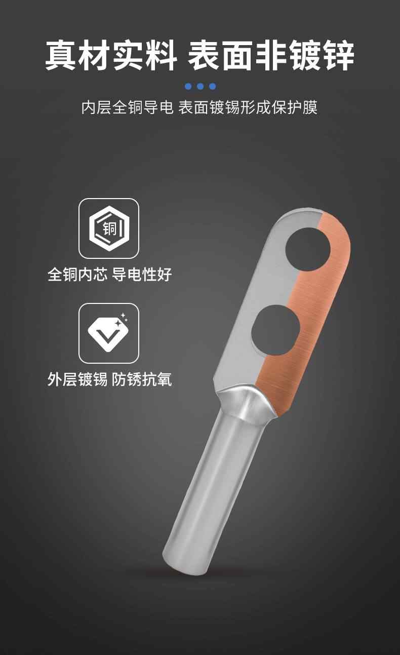 DTS双孔铜鼻子-镀锡 4