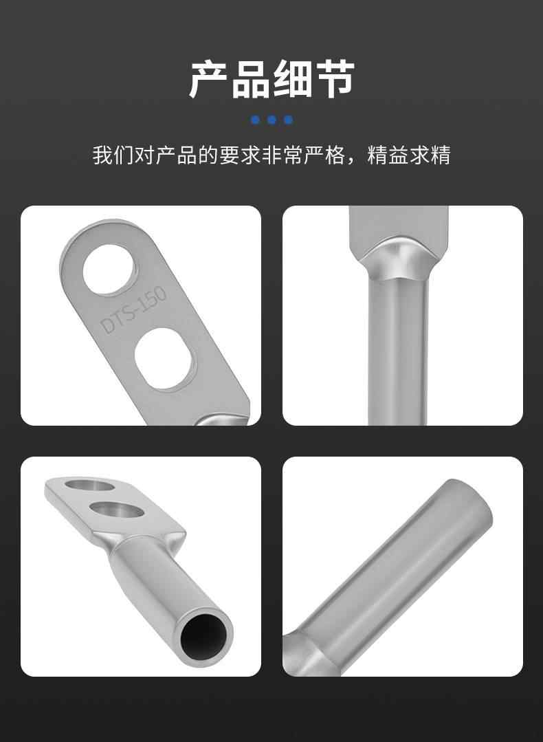 DTS双孔铜鼻子-镀锡 7