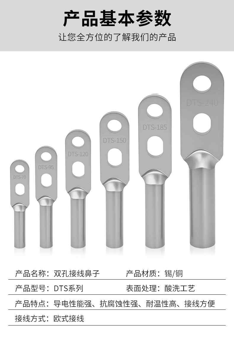 DTS双孔铜鼻子-镀锡 9