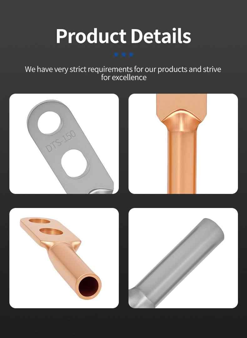 DTS dual hole copper nose - tin plated 9