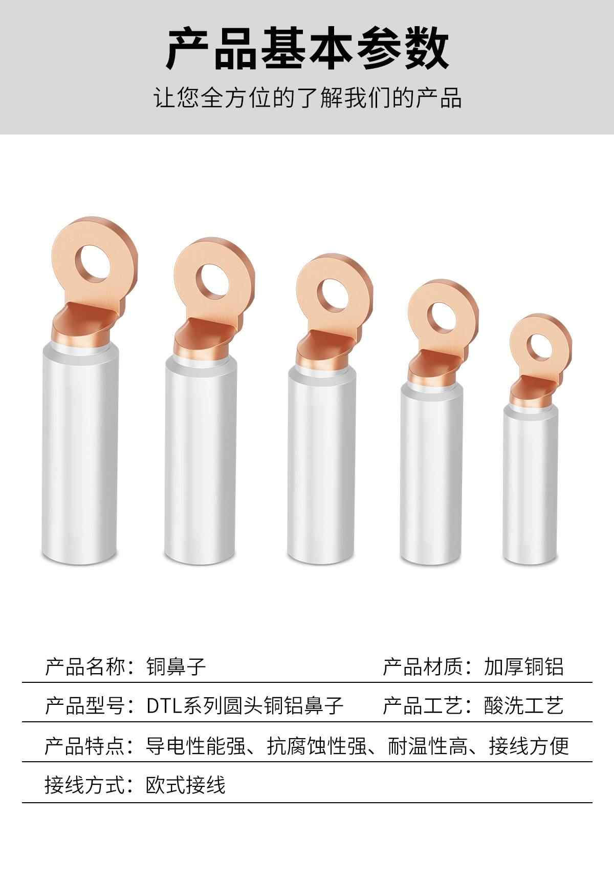 DTL圆头铜铝鼻子 8