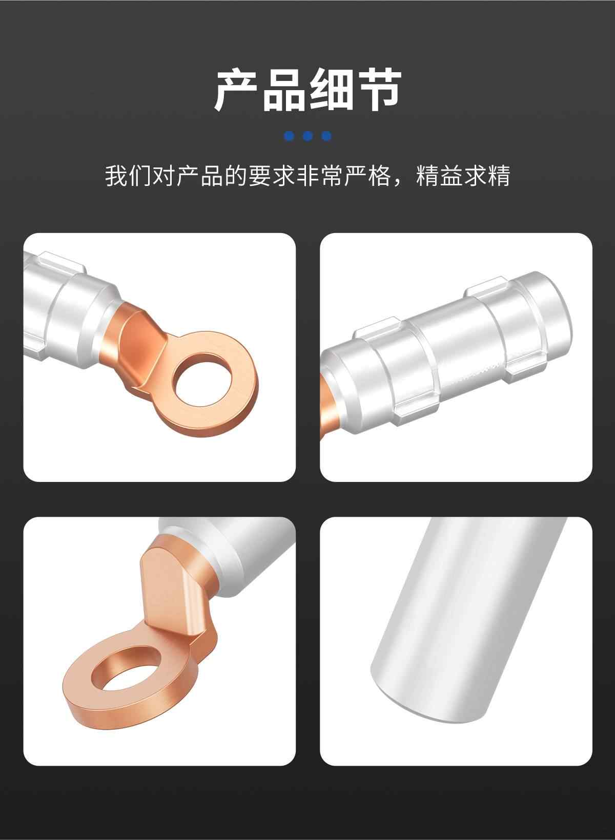 DTL圆头铜铝鼻子 10