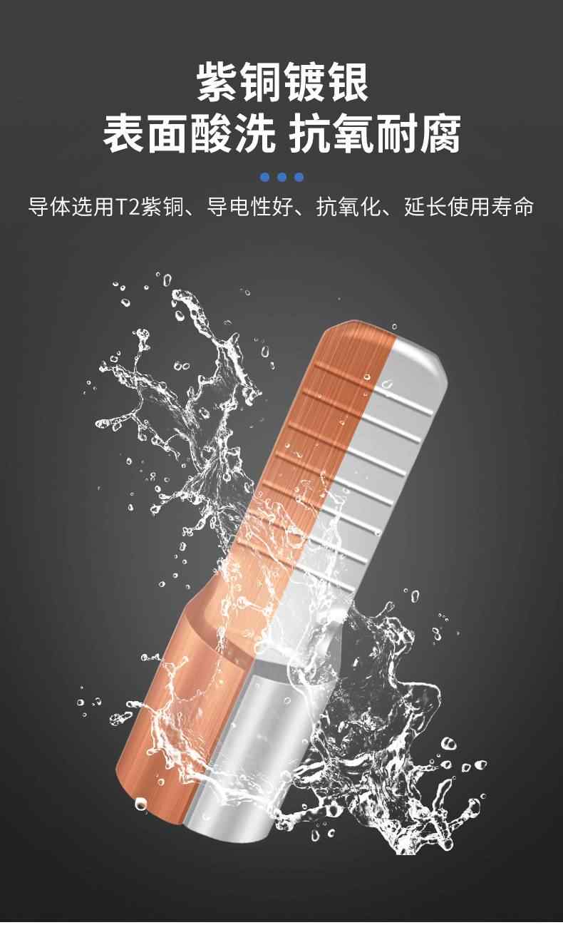  C45插片端子 4