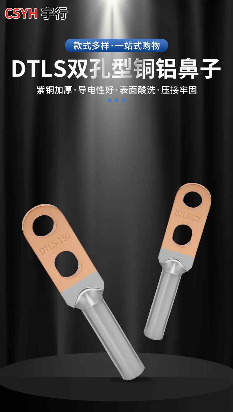  DTLS双孔铜铝鼻子 1