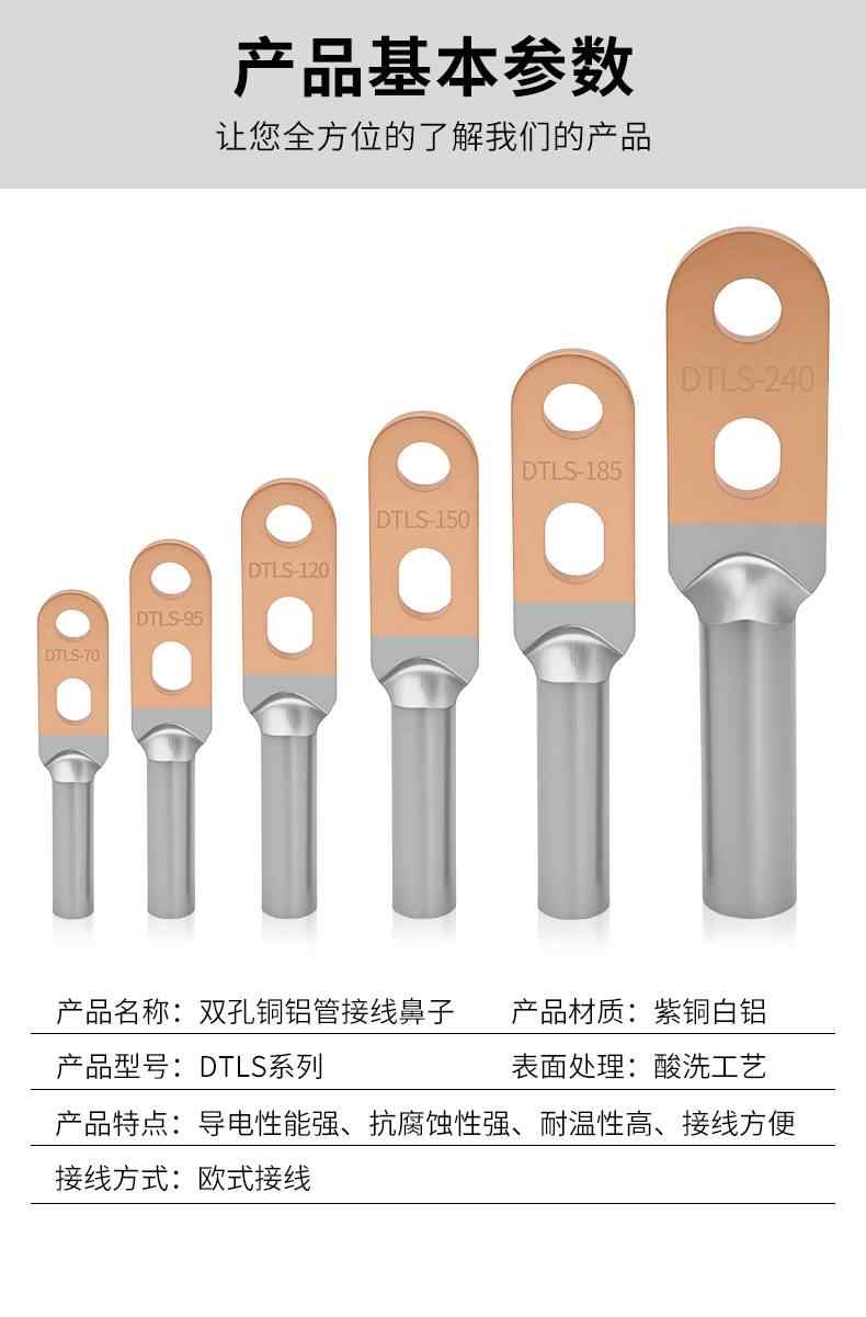  DTLS双孔铜铝鼻子 11
