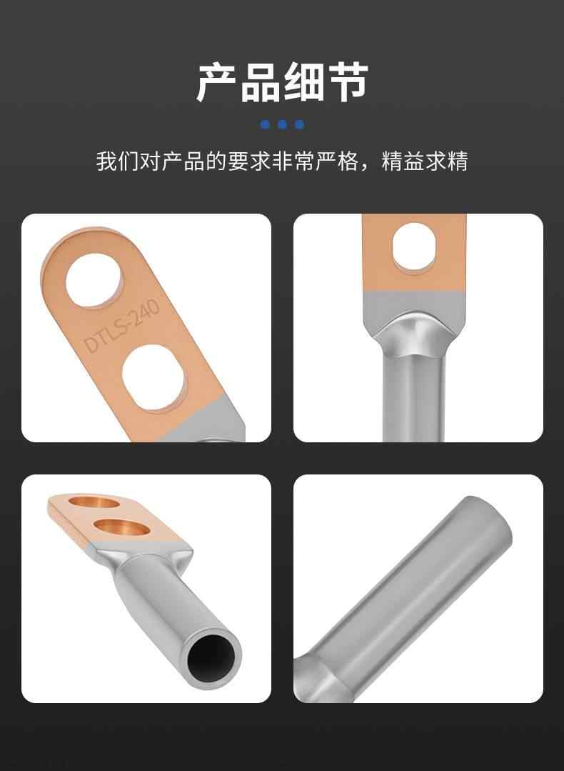  DTLS双孔铜铝鼻子 9