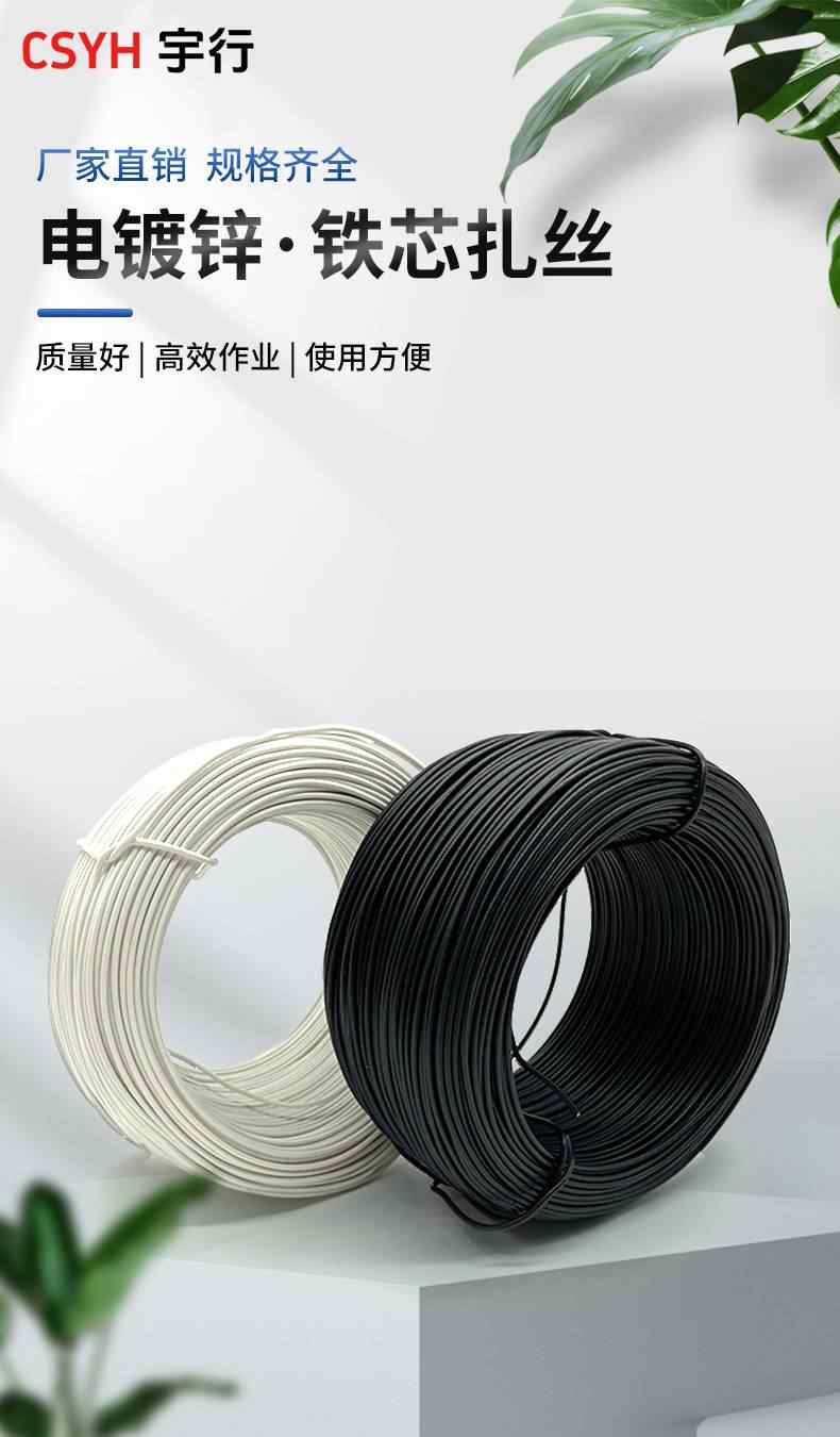 铁芯扎丝 1