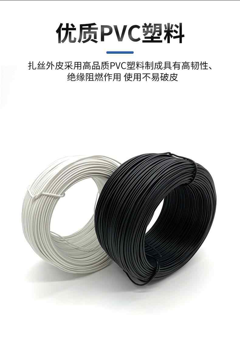 铁芯扎丝 5