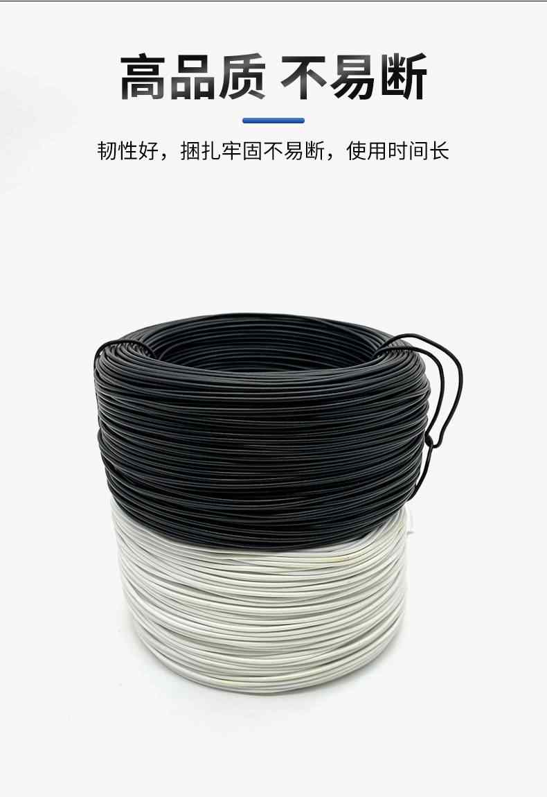 铁芯扎丝 6