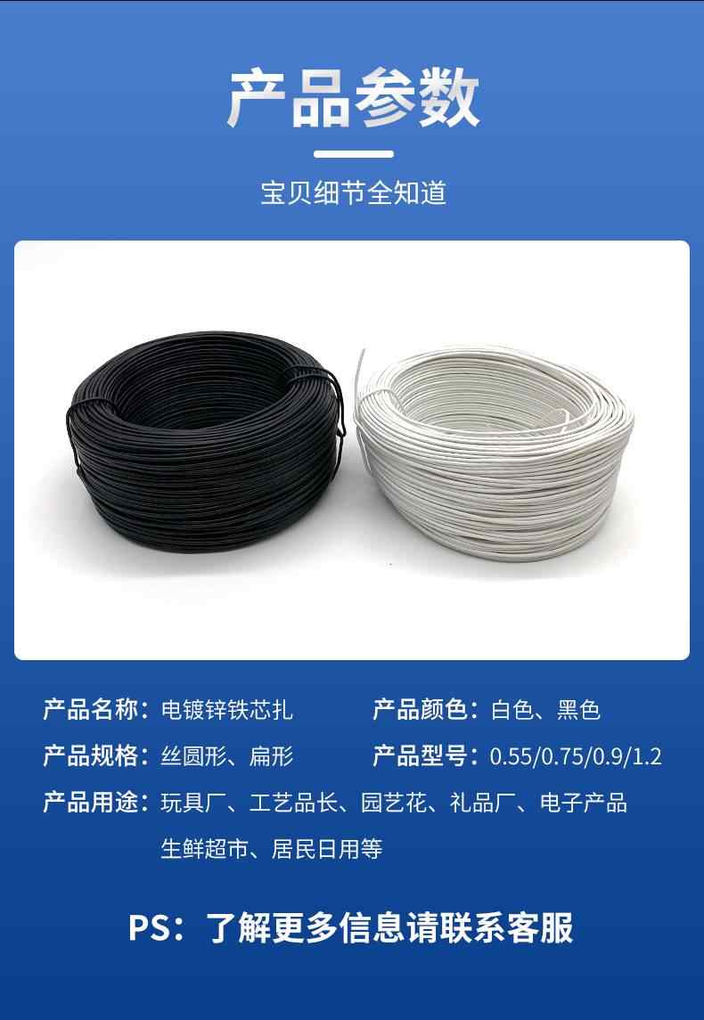 铁芯扎丝 8