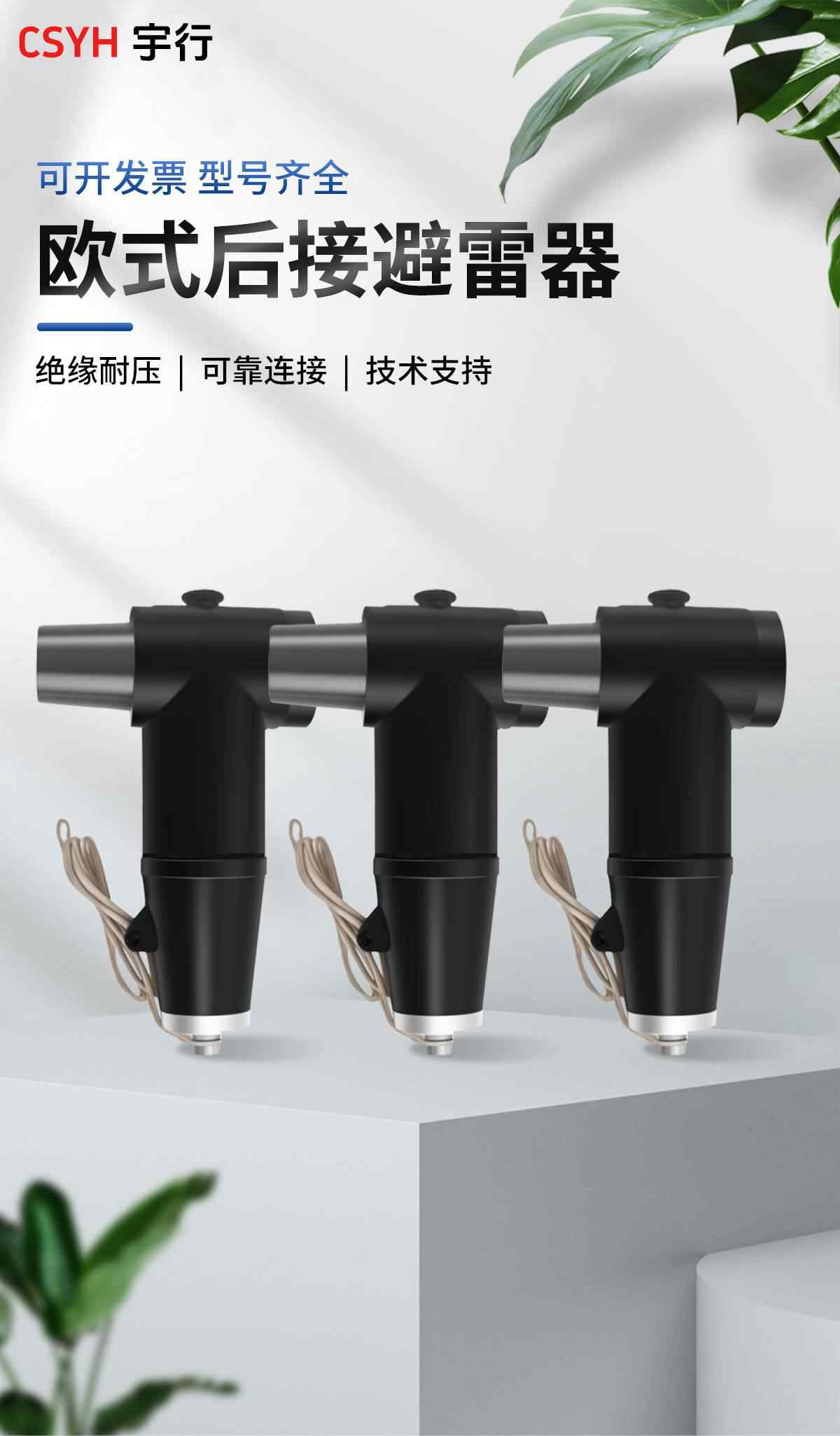 电缆欧式避雷器 1