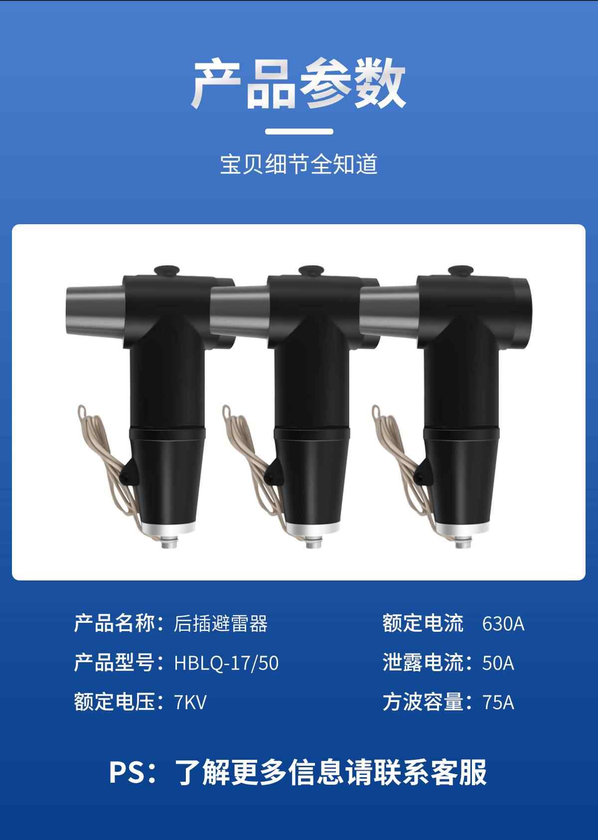 电缆欧式避雷器 9